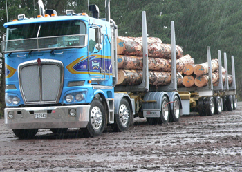 NZ-RUC-Star-B-and-P-Hermansen-Logging-Thumbnail